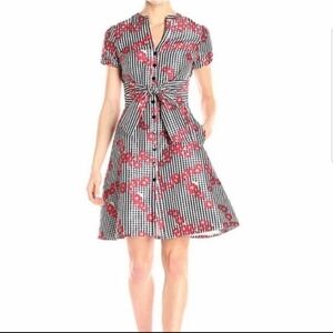 Adrianna Papell gingham poppy floral dress
